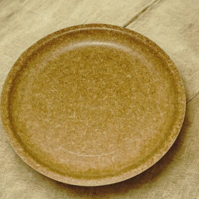 10-Inch Biodegradable Dinner Plate (Pack of 25)